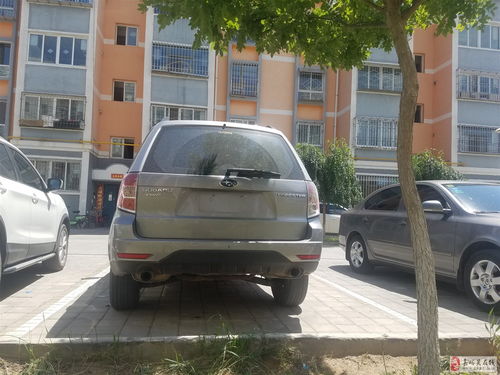 追求极致性价比 如何找到价格最低的汽车租赁服务